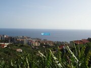 Terreno Rstico - So Martinho, Funchal, Ilha da Madeira - Miniatura: 7/9