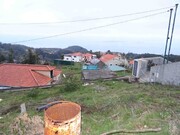 Terreno Rstico - Camacha, Santa Cruz, Ilha da Madeira - Miniatura: 1/8