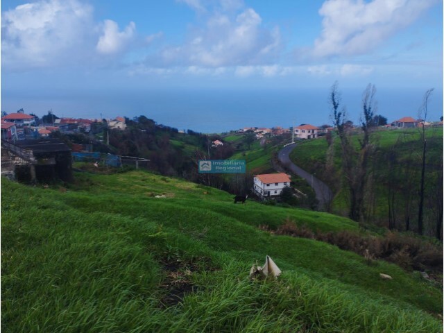 Terreno Rstico - Ponta do Pargo, Calheta (Madeira), Ilha da Madeira - Imagem grande