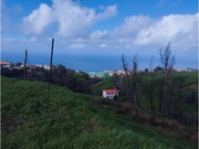 Terreno Rstico - Ponta do Pargo, Calheta (Madeira), Ilha da Madeira - Miniatura: 3/5