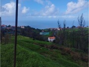 Terreno Rstico - Ponta do Pargo, Calheta (Madeira), Ilha da Madeira - Miniatura: 4/5