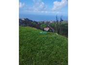 Terreno Rstico - Ponta do Pargo, Calheta (Madeira), Ilha da Madeira - Miniatura: 5/5