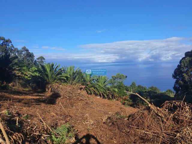 Terreno Rstico - So Jorge, Santana, Ilha da Madeira - Imagem grande