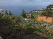 Terreno Rstico - Arco da Calheta, Calheta (Madeira), Ilha da Madeira - Miniatura: 1/9