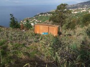 Terreno Rstico - Arco da Calheta, Calheta (Madeira), Ilha da Madeira - Miniatura: 2/9