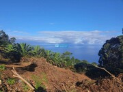 Terreno Rstico - So Jorge, Santana, Ilha da Madeira - Miniatura: 2/9