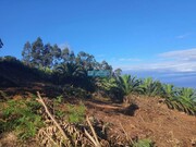 Terreno Rstico - So Jorge, Santana, Ilha da Madeira - Miniatura: 3/9
