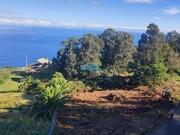Terreno Rstico - So Jorge, Santana, Ilha da Madeira - Miniatura: 4/9