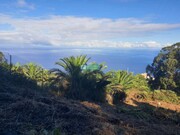 Terreno Rstico - So Jorge, Santana, Ilha da Madeira - Miniatura: 9/9
