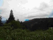 Terreno Rstico - Santo Antnio da Serra, Machico, Ilha da Madeira - Miniatura: 9/9