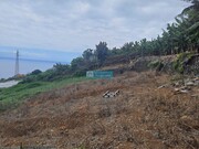 Terreno Rstico - Ponta do Sol, Ponta do Sol, Ilha da Madeira - Miniatura: 3/9