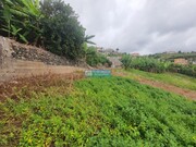 Terreno Rstico - Ponta do Sol, Ponta do Sol, Ilha da Madeira - Miniatura: 4/9