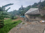 Terreno Rstico - Ponta do Sol, Ponta do Sol, Ilha da Madeira - Miniatura: 8/9