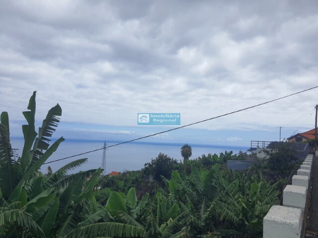 Terreno Rstico - Ponta do Sol, Ponta do Sol, Ilha da Madeira - Imagem grande