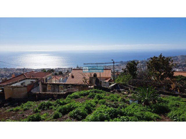 Terreno Rstico - Imaculado Corao Maria, Funchal, Ilha da Madeira - Imagem grande