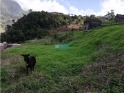 Terreno Rstico - So Vicente, So Vicente, Ilha da Madeira - Miniatura: 3/9