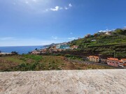 Terreno Rstico - So Gonalo, Funchal, Ilha da Madeira - Miniatura: 2/9