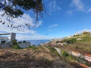 Terreno Rstico - So Gonalo, Funchal, Ilha da Madeira - Miniatura: 6/9