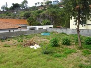 Terreno Rstico - Imaculado Corao Maria, Funchal, Ilha da Madeira - Miniatura: 4/4