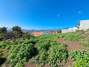 Terreno Rstico - Imaculado Corao Maria, Funchal, Ilha da Madeira - Miniatura: 1/9