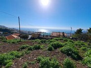 Terreno Rstico - Imaculado Corao Maria, Funchal, Ilha da Madeira - Miniatura: 2/9