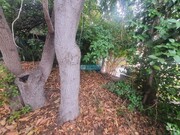Terreno R�stico - Santa Luzia, Funchal, Ilha da Madeira - Miniatura: 2/9