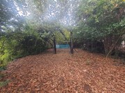 Terreno R�stico - Santa Luzia, Funchal, Ilha da Madeira - Miniatura: 3/9