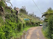 Terreno Rstico - Santo Antnio da Serra, Machico, Ilha da Madeira - Miniatura: 3/5