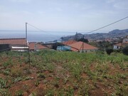 Terreno Rstico - So Gonalo, Funchal, Ilha da Madeira - Miniatura: 1/9