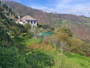 Moradia T4 - Ribeira da Janela, Porto Moniz, Ilha da Madeira - Miniatura: 5/9
