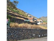 Terreno Rstico - Tabua, Ribeira Brava, Ilha da Madeira - Miniatura: 2/9