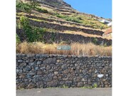 Terreno Rstico - Tabua, Ribeira Brava, Ilha da Madeira - Miniatura: 3/9