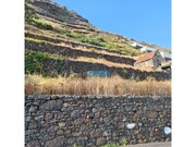 Terreno Rstico - Tabua, Ribeira Brava, Ilha da Madeira - Miniatura: 6/9