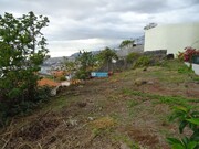 Terreno Rstico - So Gonalo, Funchal, Ilha da Madeira - Miniatura: 6/7