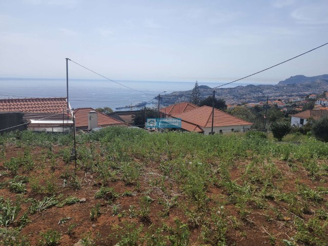 Terreno Rstico - So Gonalo, Funchal, Ilha da Madeira - Imagem grande