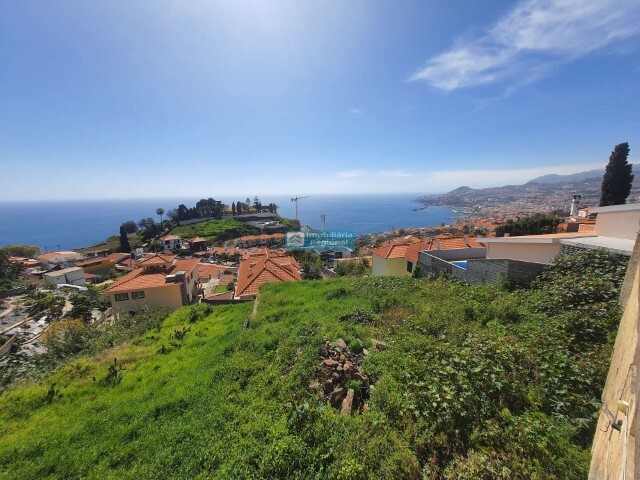 Terreno Rústico - São Gonçalo, Funchal, Ilha da Madeira - Imagem grande