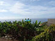 Terreno Rstico - So Martinho, Funchal, Ilha da Madeira