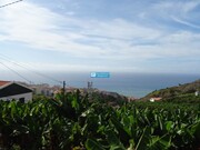Terreno Rstico - So Martinho, Funchal, Ilha da Madeira - Miniatura: 1/9
