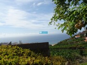 Terreno Rstico - So Martinho, Funchal, Ilha da Madeira - Miniatura: 2/9