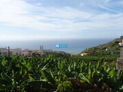 Terreno Rstico - So Martinho, Funchal, Ilha da Madeira - Miniatura: 3/9