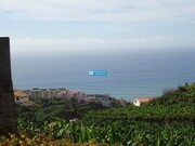 Terreno Rstico - So Martinho, Funchal, Ilha da Madeira - Miniatura: 4/9