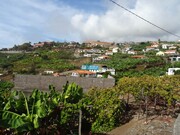 Terreno Rstico - So Martinho, Funchal, Ilha da Madeira - Miniatura: 5/9