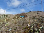 Terreno Rstico - So Martinho, Funchal, Ilha da Madeira - Miniatura: 6/9