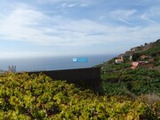 Terreno Rstico - So Martinho, Funchal, Ilha da Madeira - Miniatura: 9/9