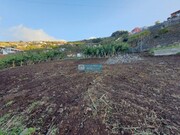 Terreno Rstico - Ponta do Sol, Ponta do Sol, Ilha da Madeira - Miniatura: 9/9