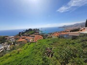 Terreno Rstico - So Gonalo, Funchal, Ilha da Madeira - Miniatura: 3/9