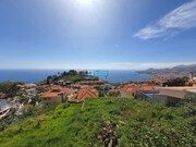 Terreno Rstico - So Gonalo, Funchal, Ilha da Madeira - Miniatura: 4/9
