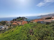 Terreno Rstico - So Gonalo, Funchal, Ilha da Madeira - Miniatura: 6/9
