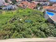Terreno Rstico - So Gonalo, Funchal, Ilha da Madeira - Miniatura: 7/9