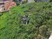 Terreno Rstico - So Gonalo, Funchal, Ilha da Madeira - Miniatura: 8/9